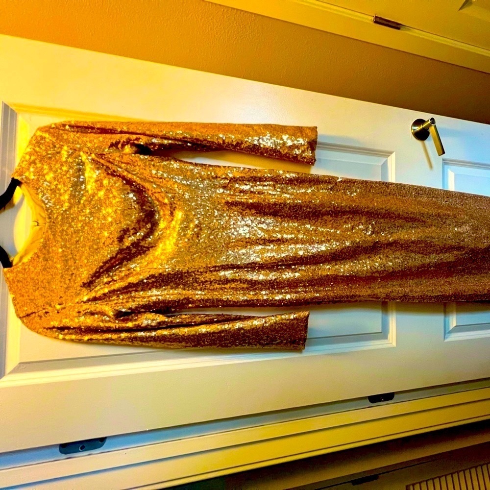 Worn Once Sequence Long Formal Dress - image 2